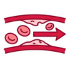 Reverses Hidden Plaque & Clots