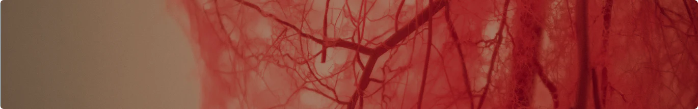 Showed Improved Artery Thickness
