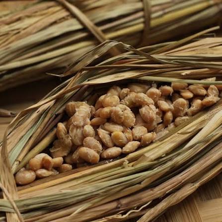 Natto Fermentation